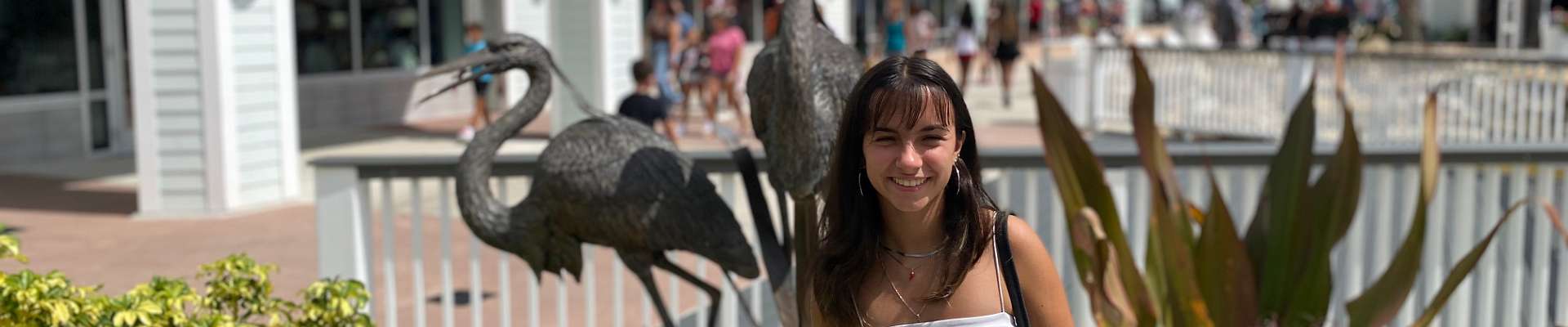 Click to show or hide the top-buttons